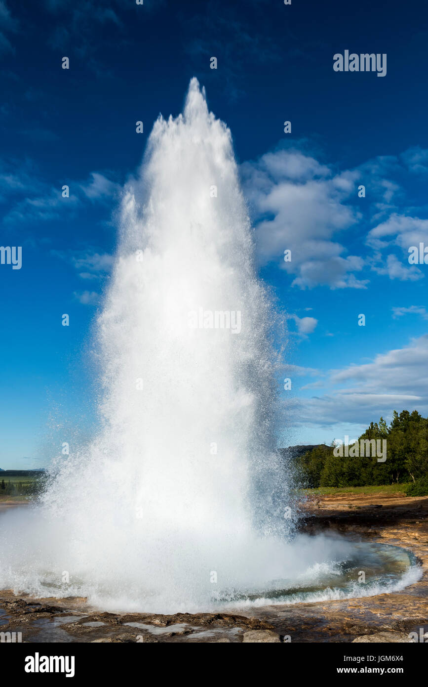 Erupting hot spring geysir on Iceland Stock Photo Alamy