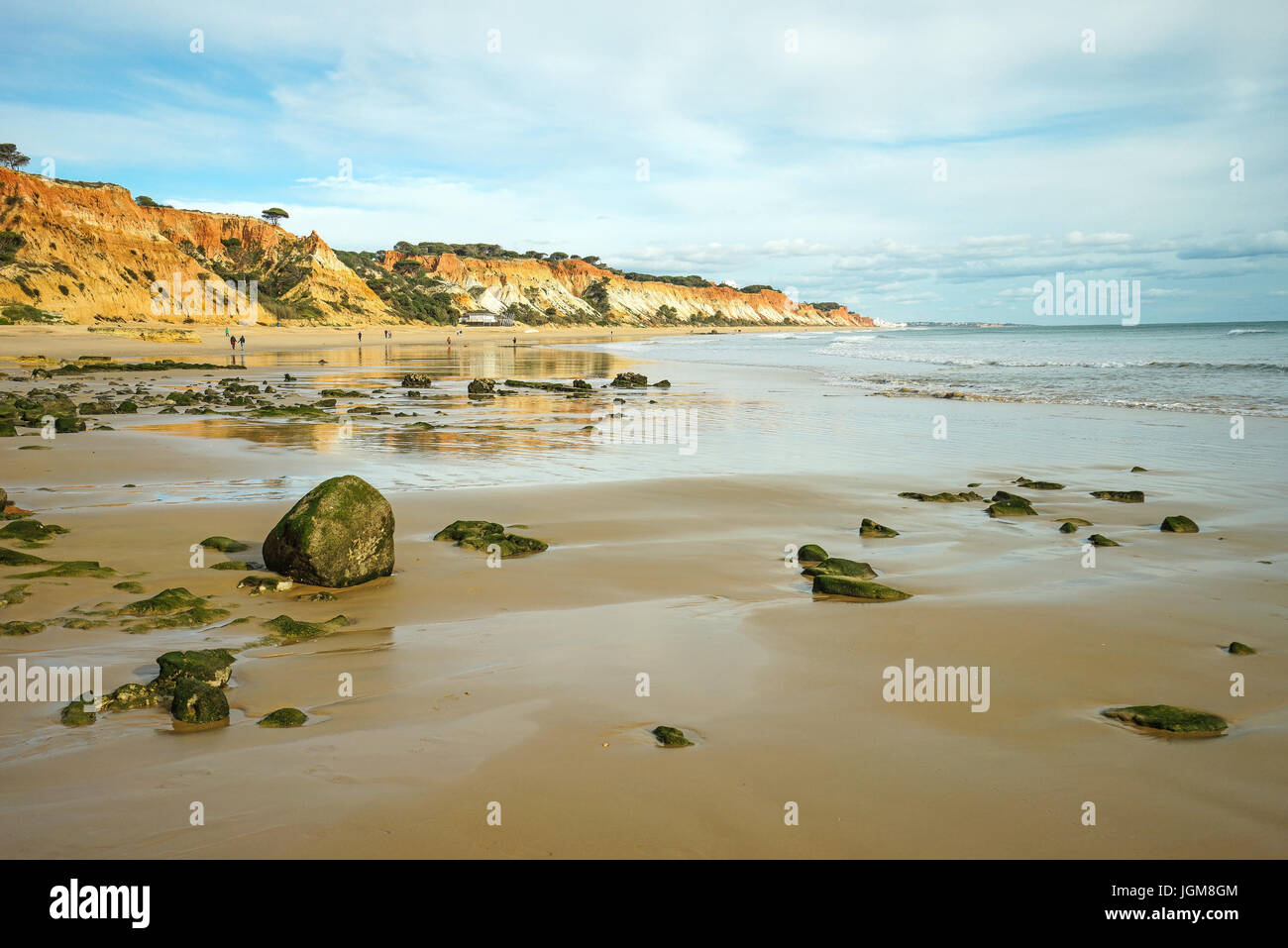 speed trainer belhar