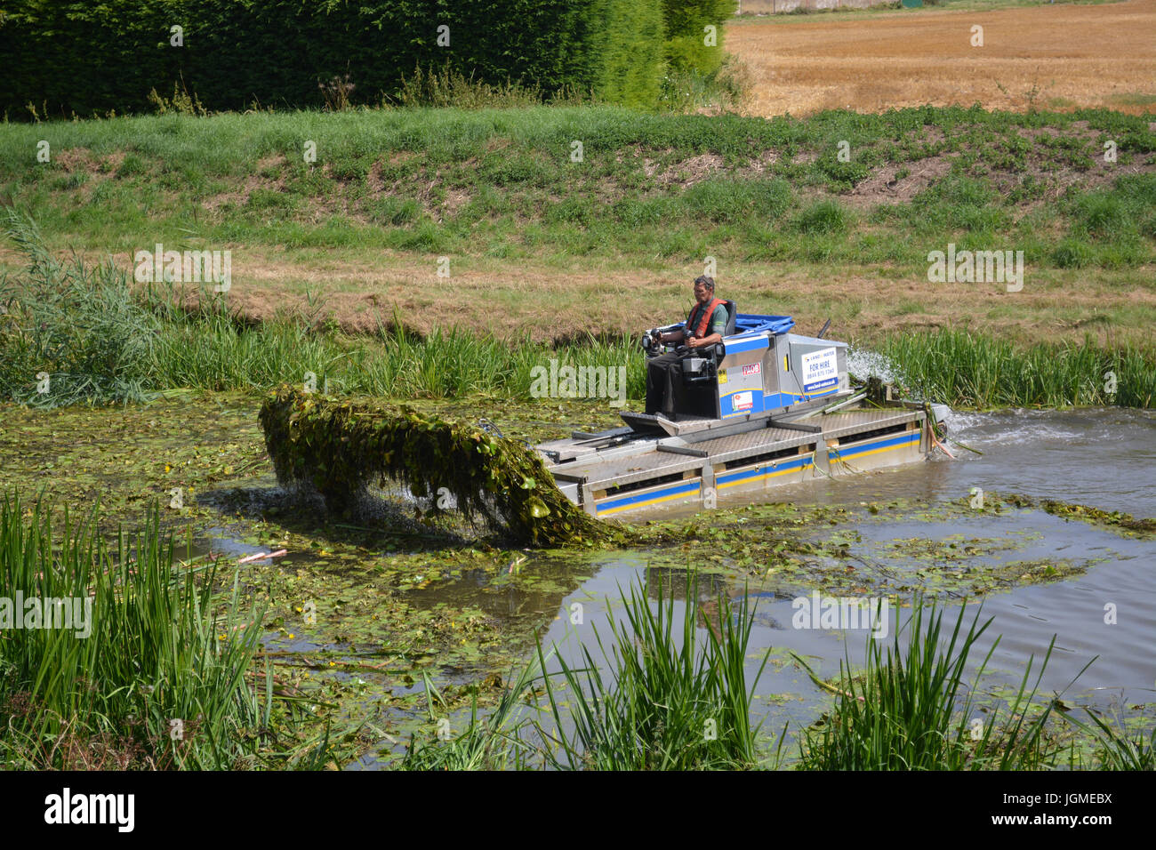 Royal Military canal weed clearing Stock Photo