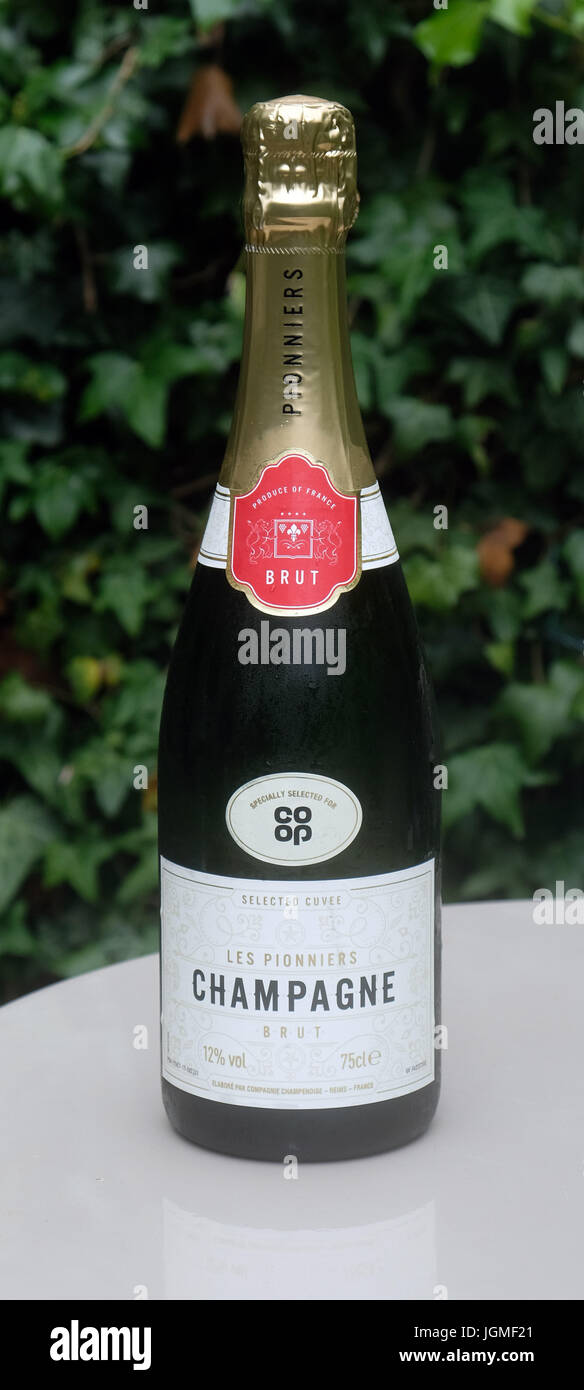 Pic shows: Co-op own brand champagne wins Gold prestigious award that puts  it alongside Dom Perignon Les Pionniers and Les Pionniers Vintage 2006  Stock Photo - Alamy