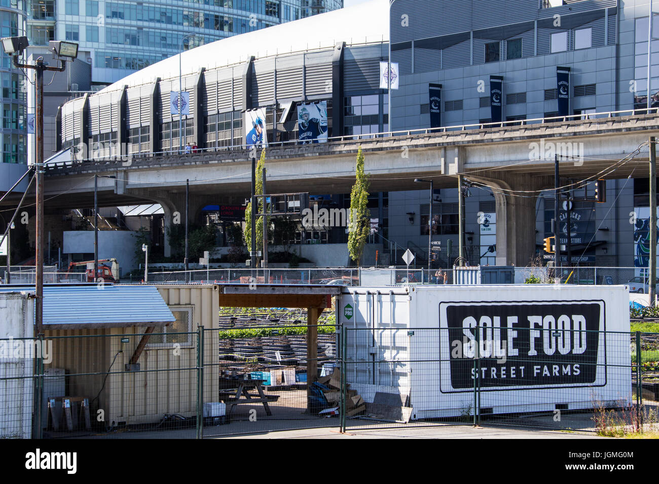 Sole Food Street Farms transforms vacant urban land into areas that grow artisan quality fruits and vegetables, Vancouver, British Columbia, Canada Stock Photo