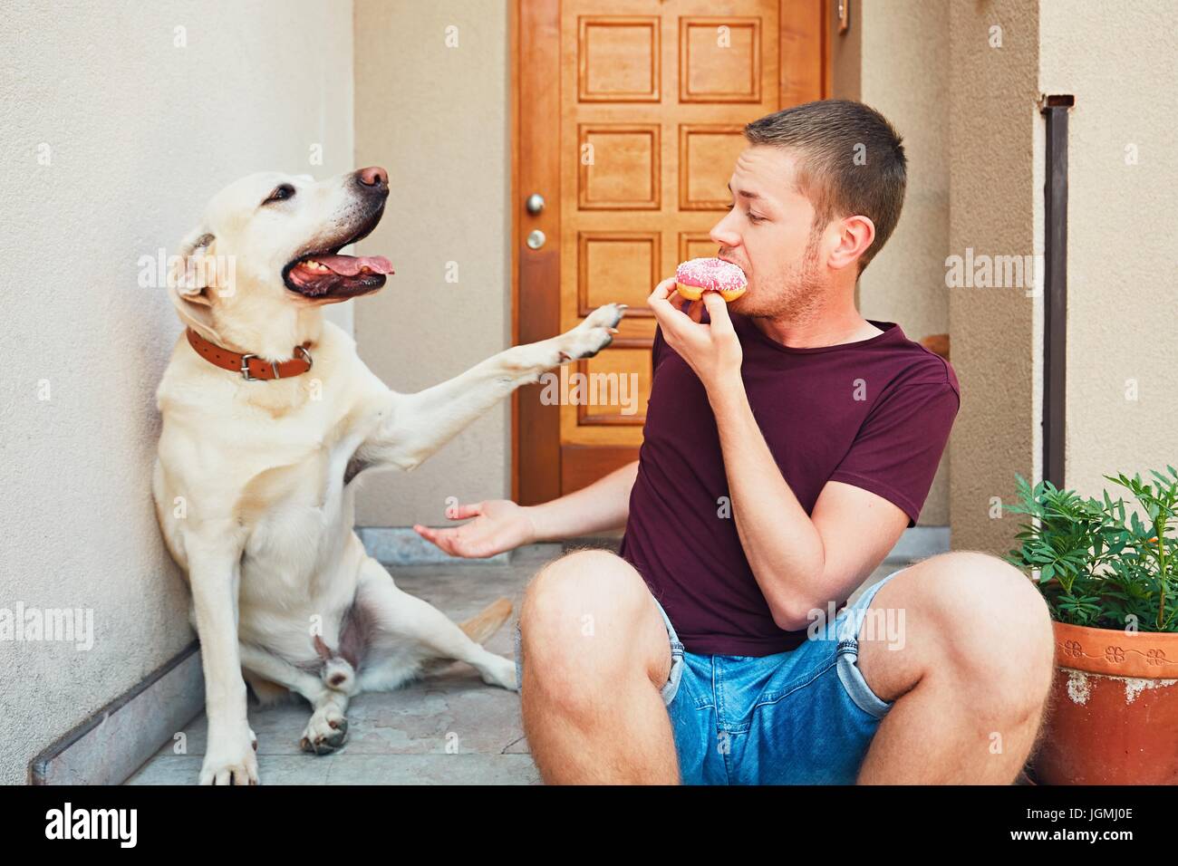 Dog stairs man dog stairs hires stock photography and images Alamy