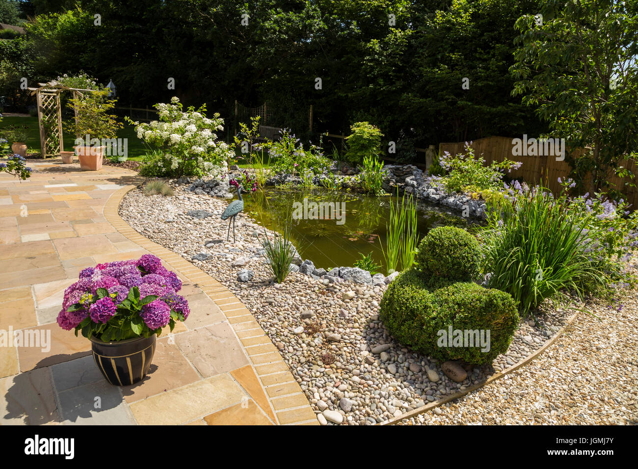 Garden patio at the edge of a pond with plant pots, topiary,hydrangeas,white moth hydrangea paniculata , Stock Photo