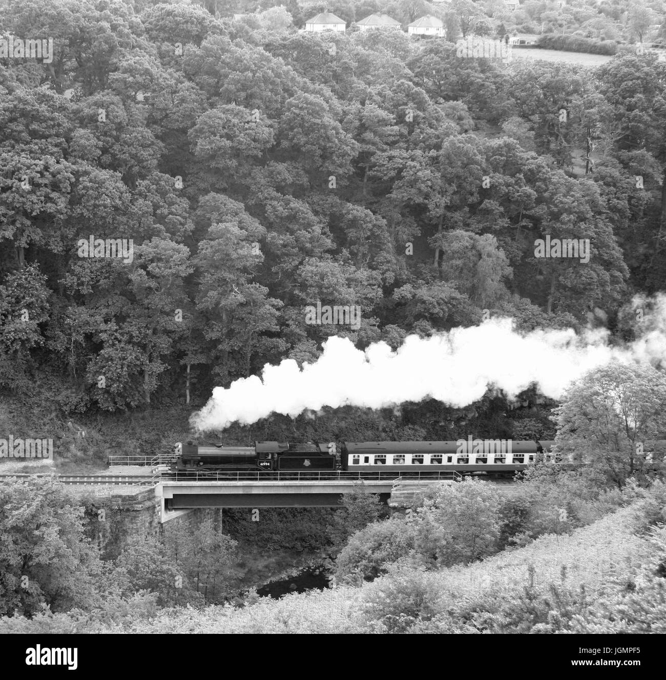 Steam Trains in Black and White Stock Photo