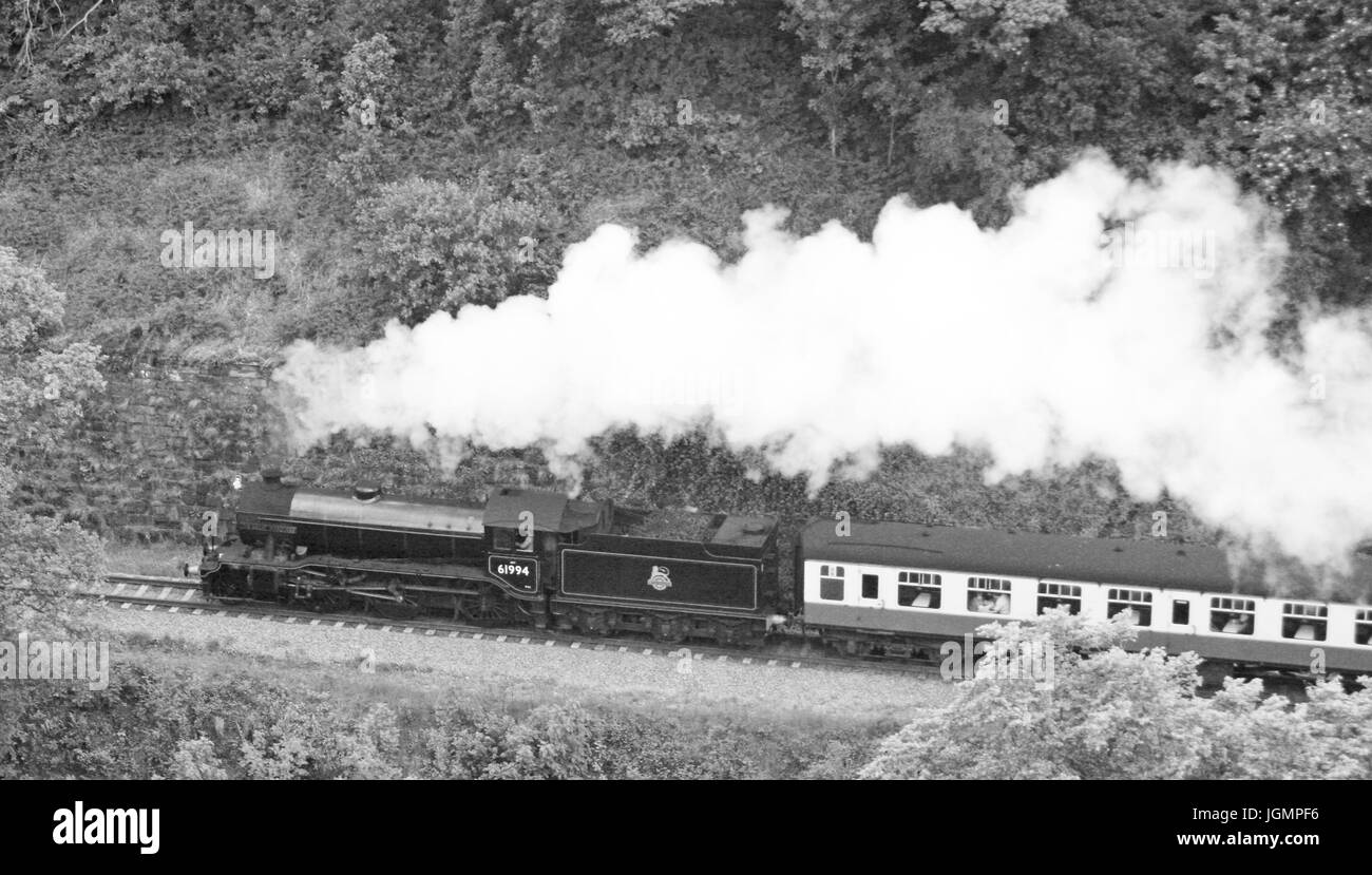 Steam Trains in Black and White Stock Photo