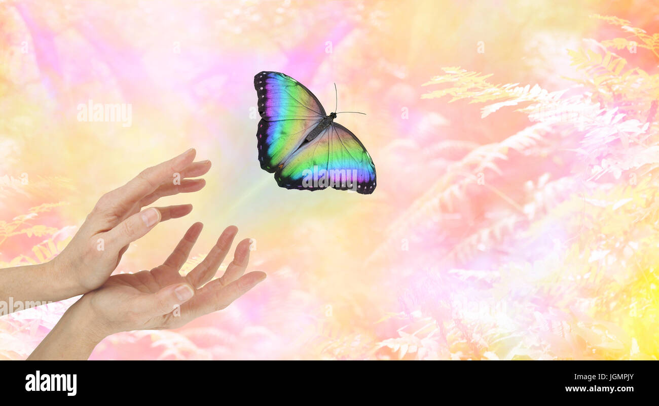 Spiritual Release -  female hands with a large  rainbow coloured butterfly moving away and up on an ethereal pink orange yellow  woodland background Stock Photo