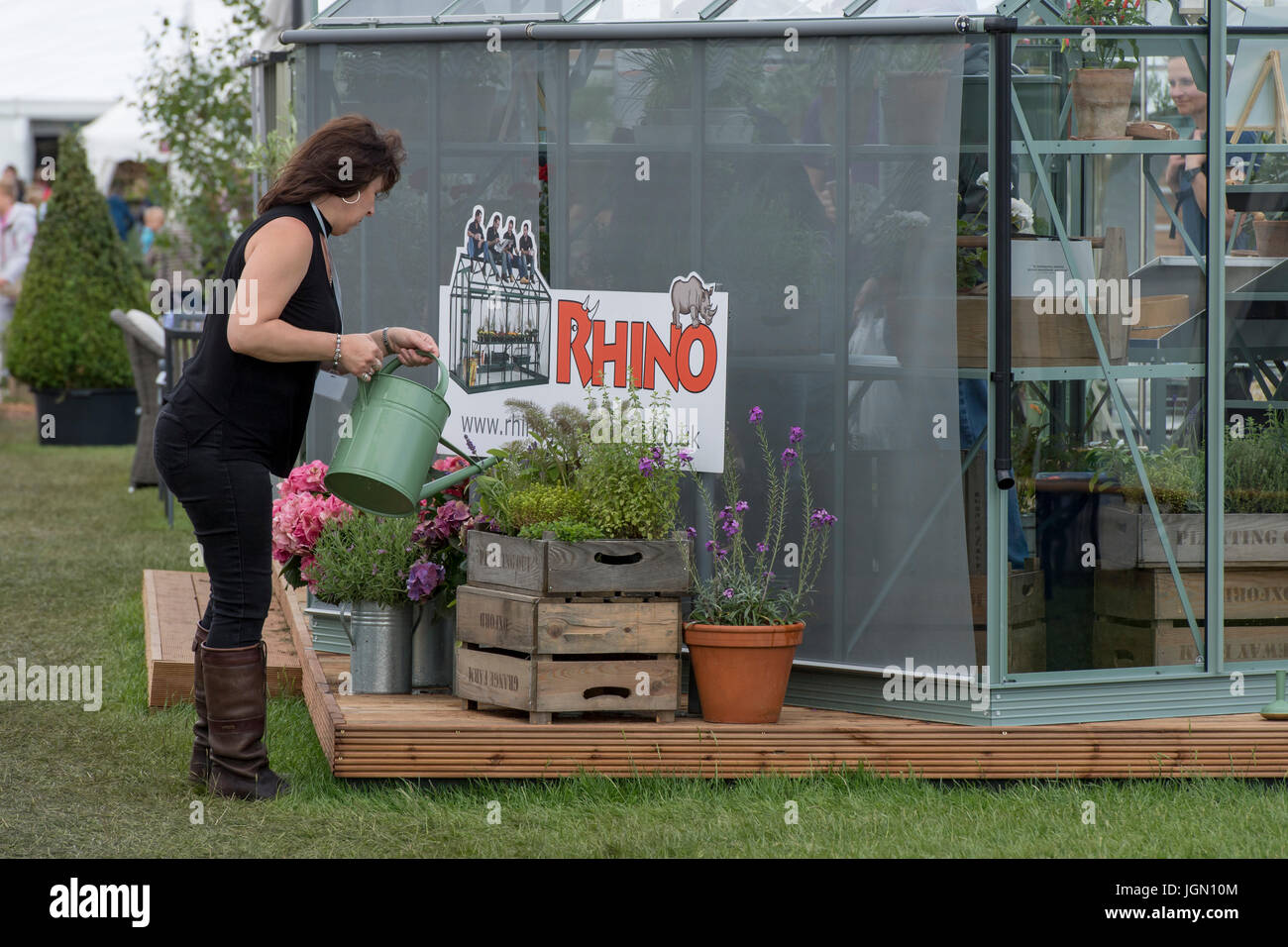 Lady watering plants by greenhouse on display & for sale at Rhino tradestand - RHS Chatsworth Flower Show, Chatsworth House, Derbyshire, England, UK. Stock Photo