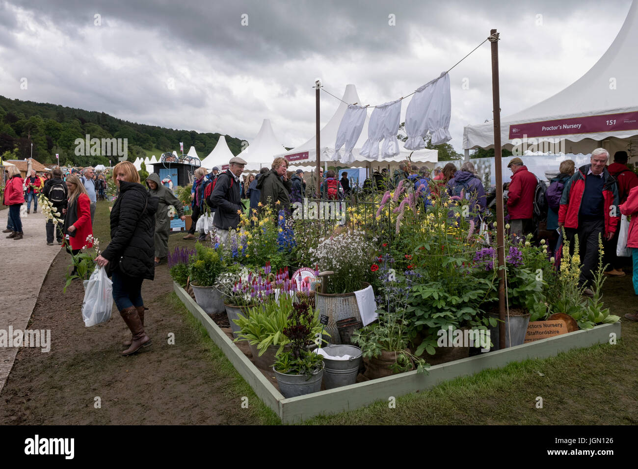 People look around exhibition displays & buy plants - Plant Village, RHS Chatsworth Flower Show showground, Chatsworth House, Derbyshire, England, UK. Stock Photo