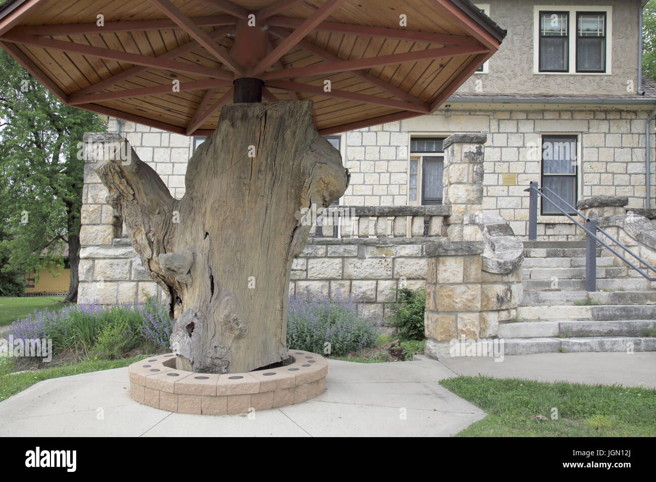 post office oak at council grove on the santa fe trail in kansas Stock