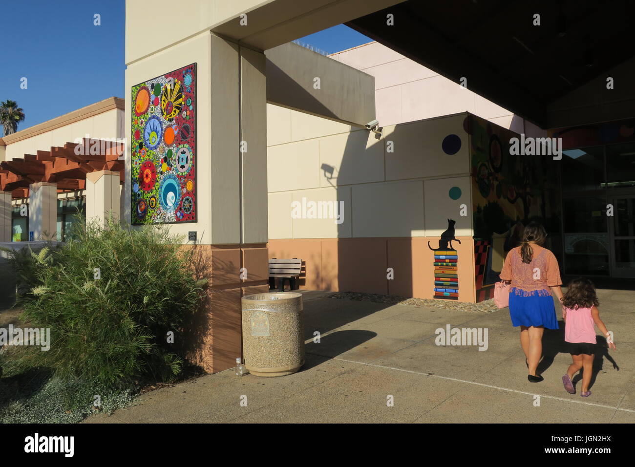vista public library