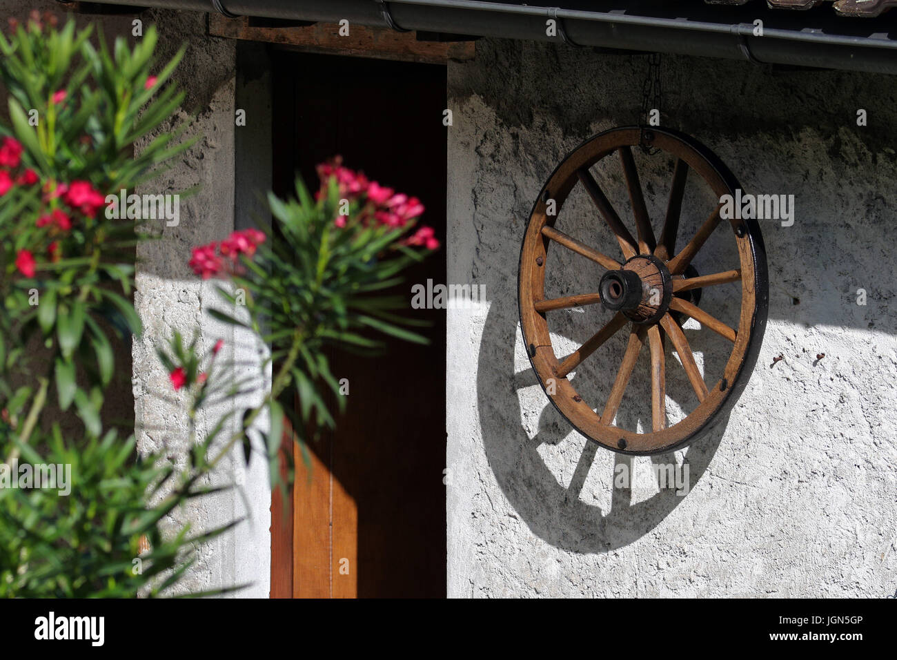 Rural wall and entrance with wooden wheel decoration and blooming oleander Stock Photo