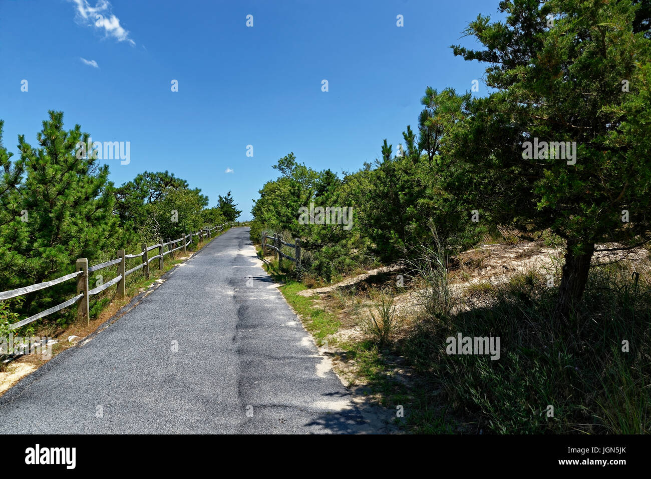 Cape Henlopen State Park, Delaware Stock Photo Alamy