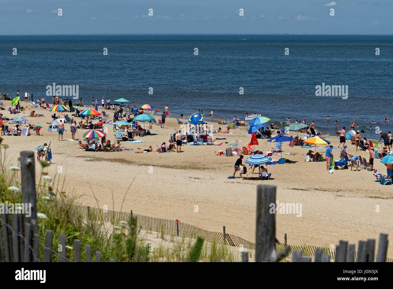 Cape Henlopen State Park, Delaware Stock Photo Alamy