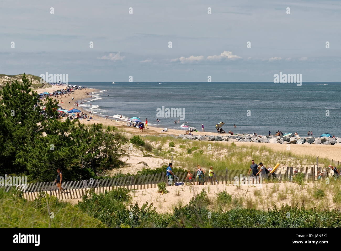 Are Dogs Allowed In Cape Henlopen State Park