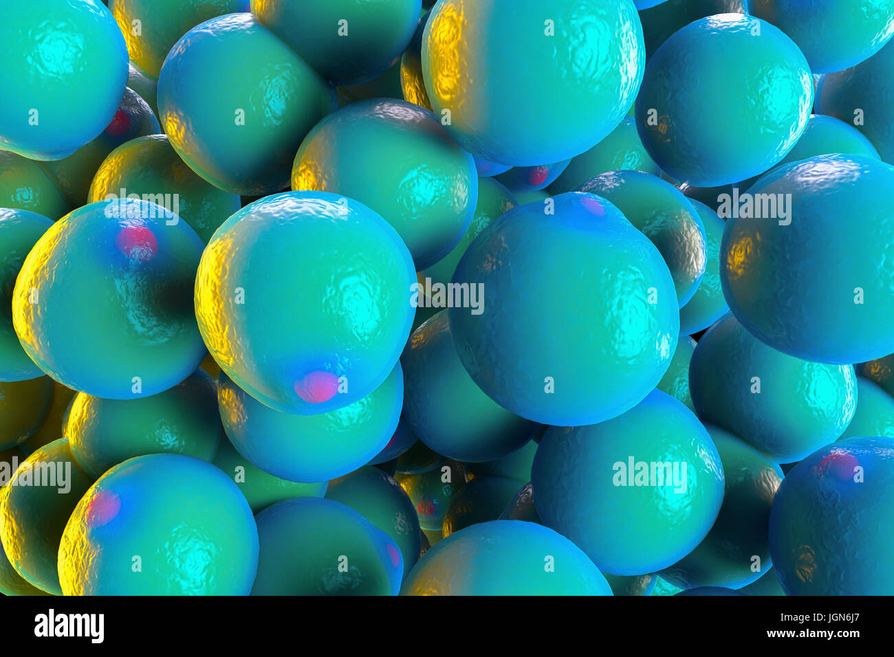 Illustration of a group of fat cells (adipocytes Stock Photo Alamy