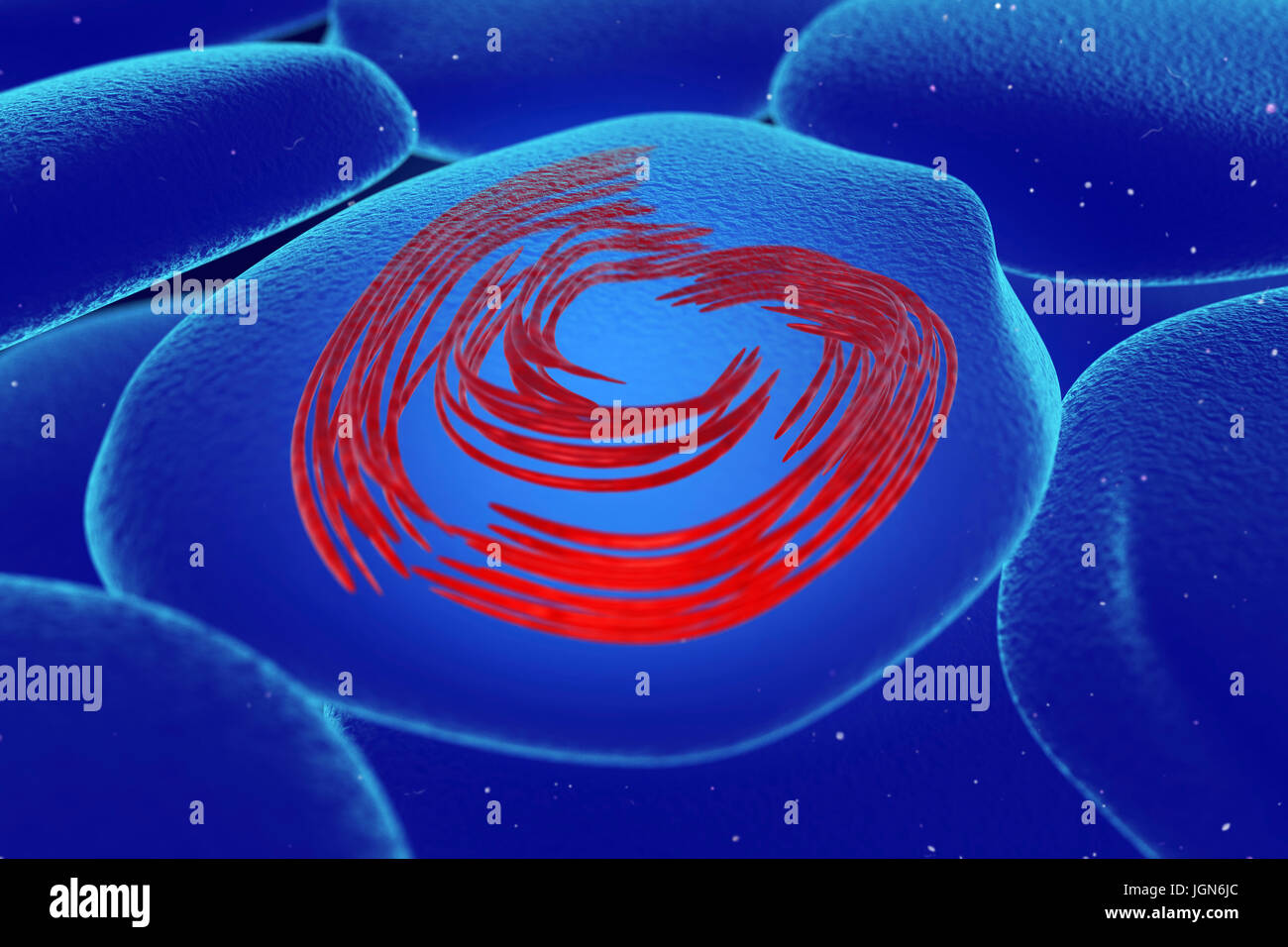 Protein keratin hires stock photography and images Alamy