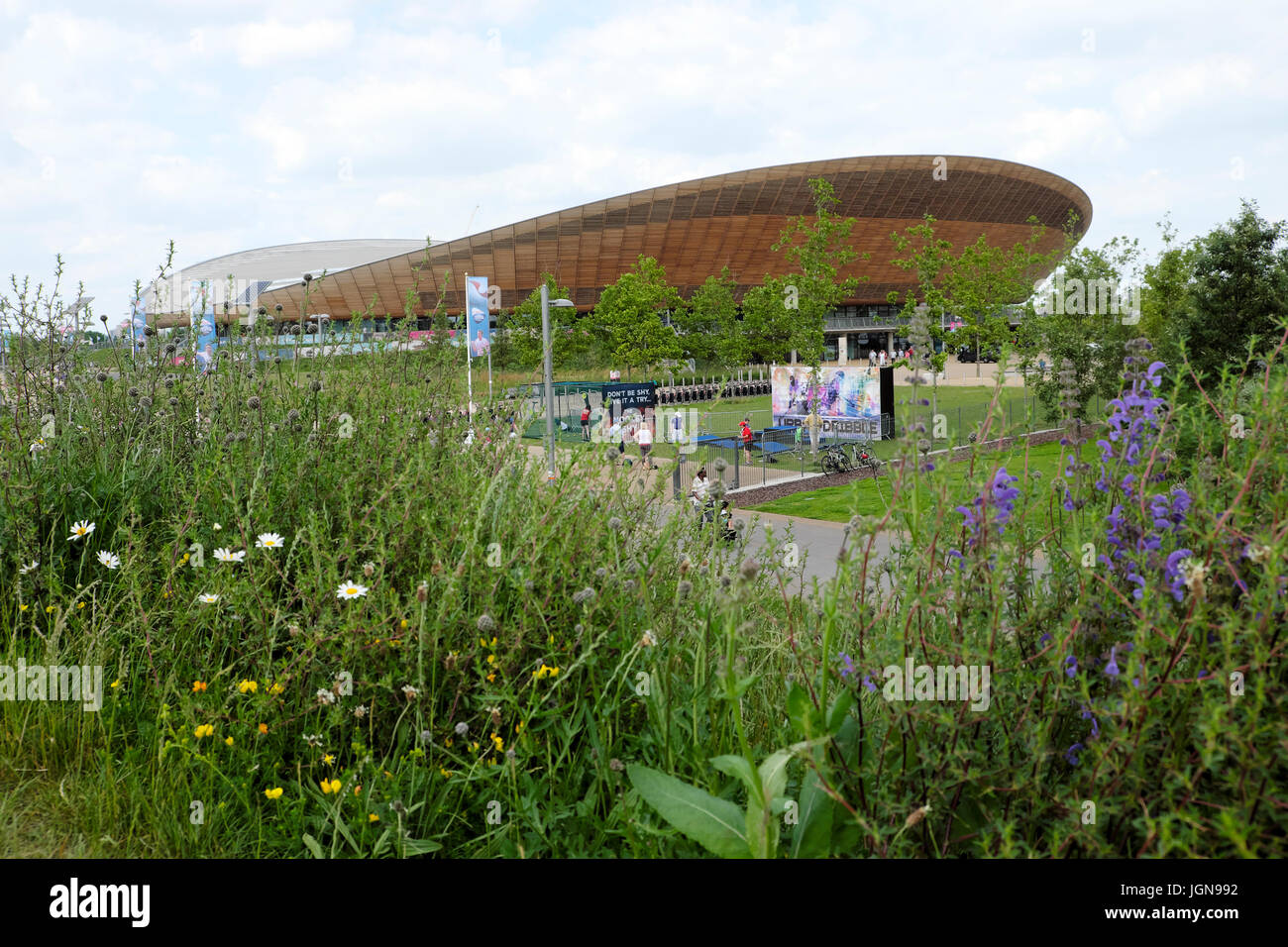 Wildflowers bloom in June near the Queen Elizabeth Olympic Park Velodrome people cycling venue Stratford, Newham East London England UK   KATHY DEWITT Stock Photo