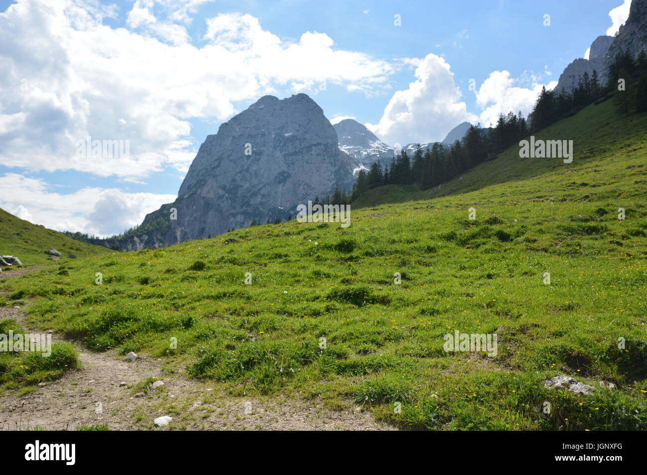 Ramsau, Germany - June 3, 2017 - Beautiful Kallbrunnalm in Austrian Alps Stock Photo