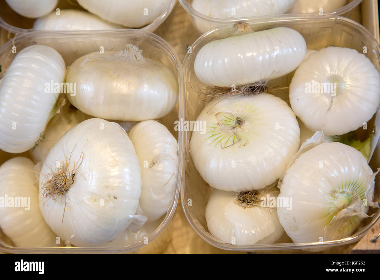 Onion for Sale on Market Stall, Bologna, Italy Stock Photo Alamy