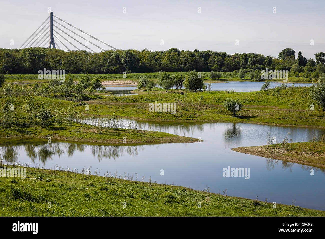 River Lippe, recultivated wetland area near the mouth with the river Rhine, Wesel, Lower Rhine, North Rhine-Westphalia, Germany Stock Photo
