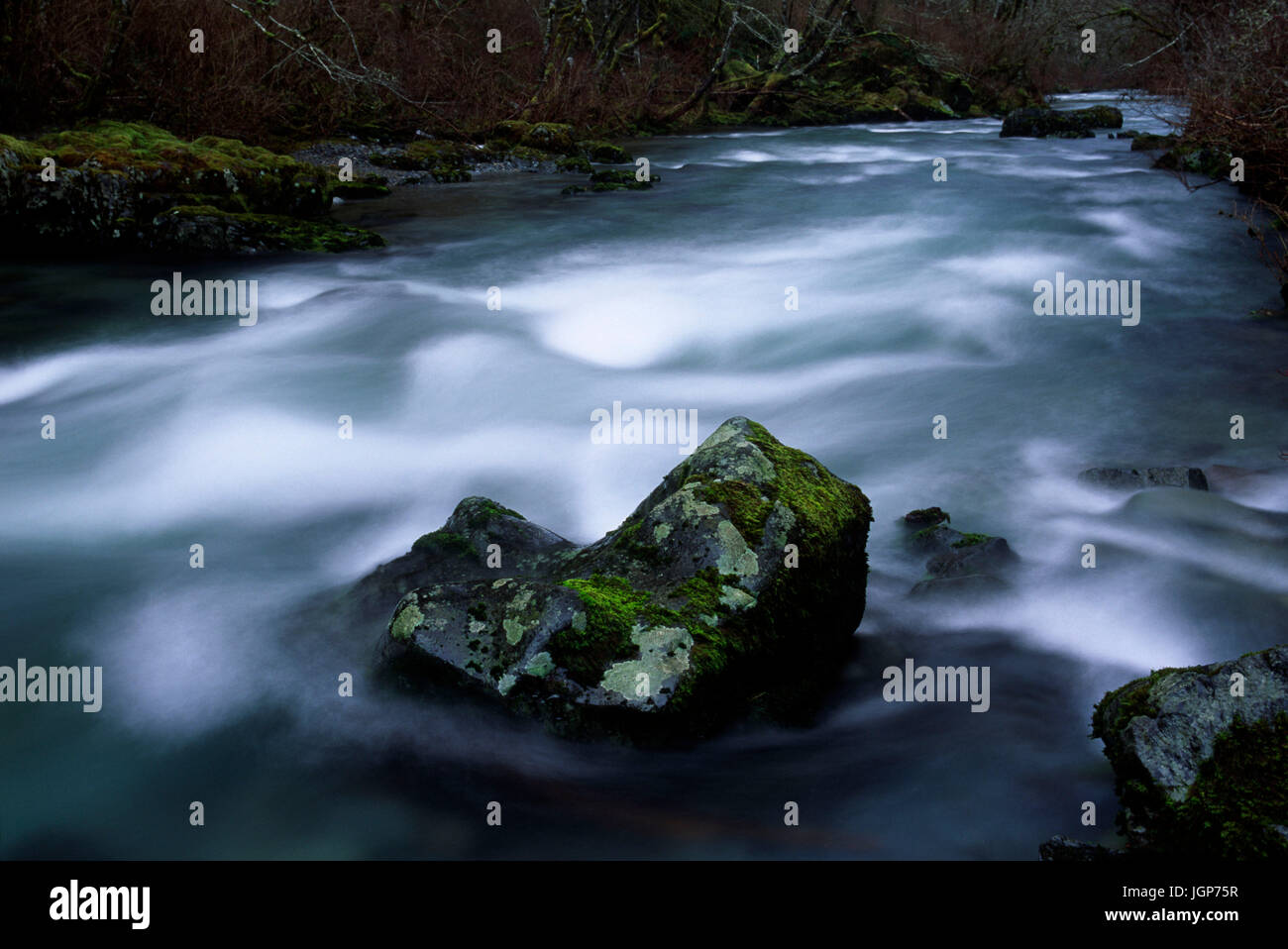 East Fork Lewis River, Gifford Pinchot National Forest, Washington