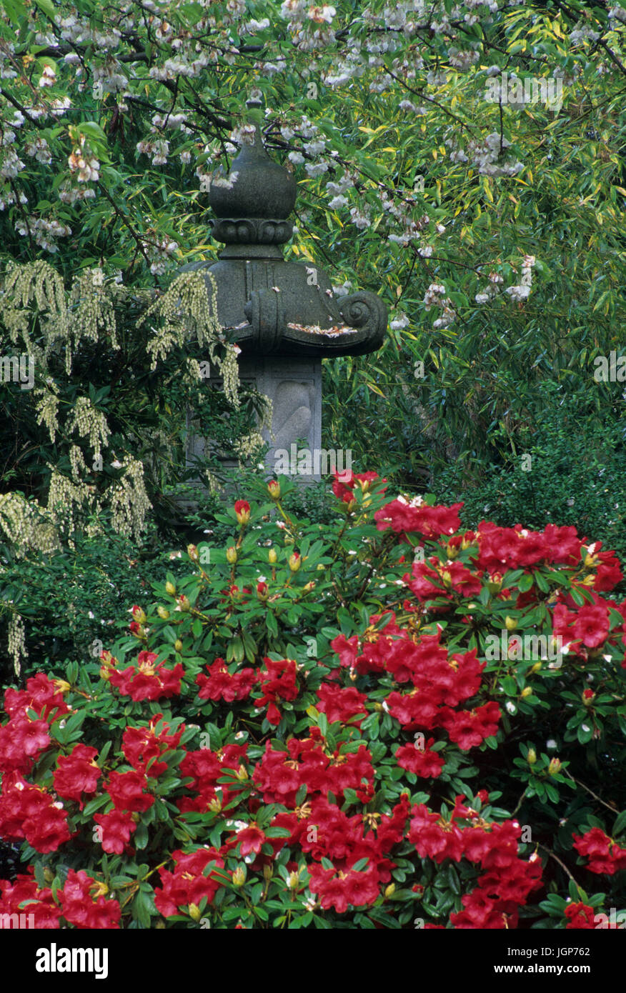 Yashiro Japanese Garden Stock Photos Yashiro Japanese Garden