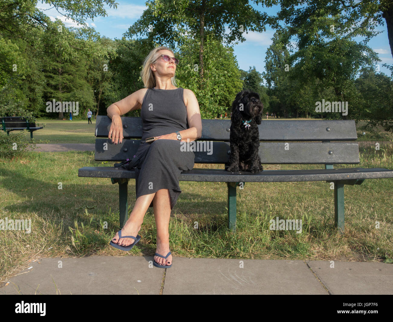 Cockapoo side view hi-res stock photography and images - Alamy