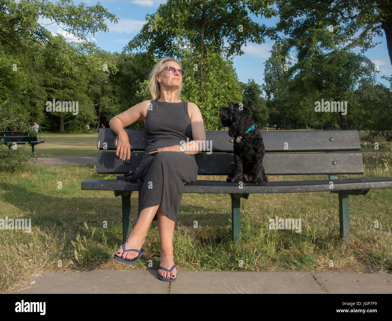 Cockapoo side view hi-res stock photography and images - Alamy