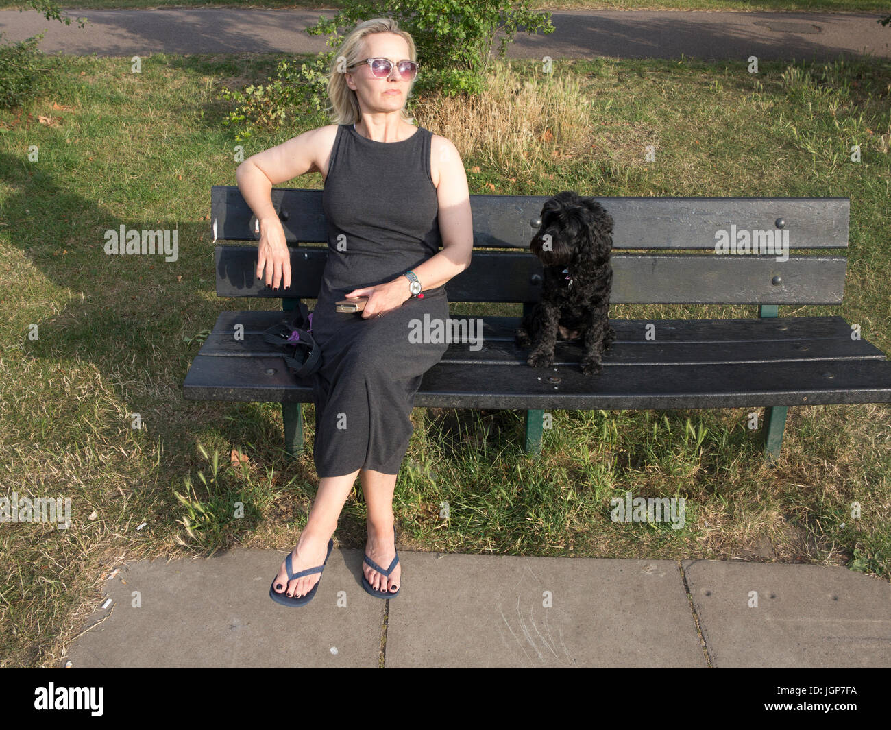 Cockapoo side view hi-res stock photography and images - Alamy