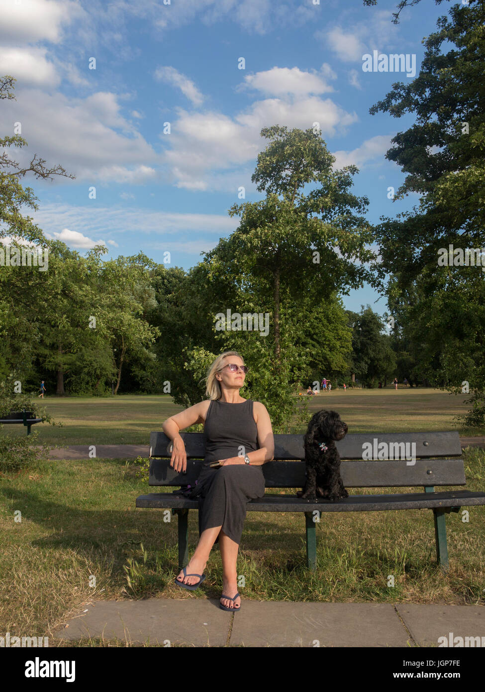 Cockapoo side view hi-res stock photography and images - Alamy