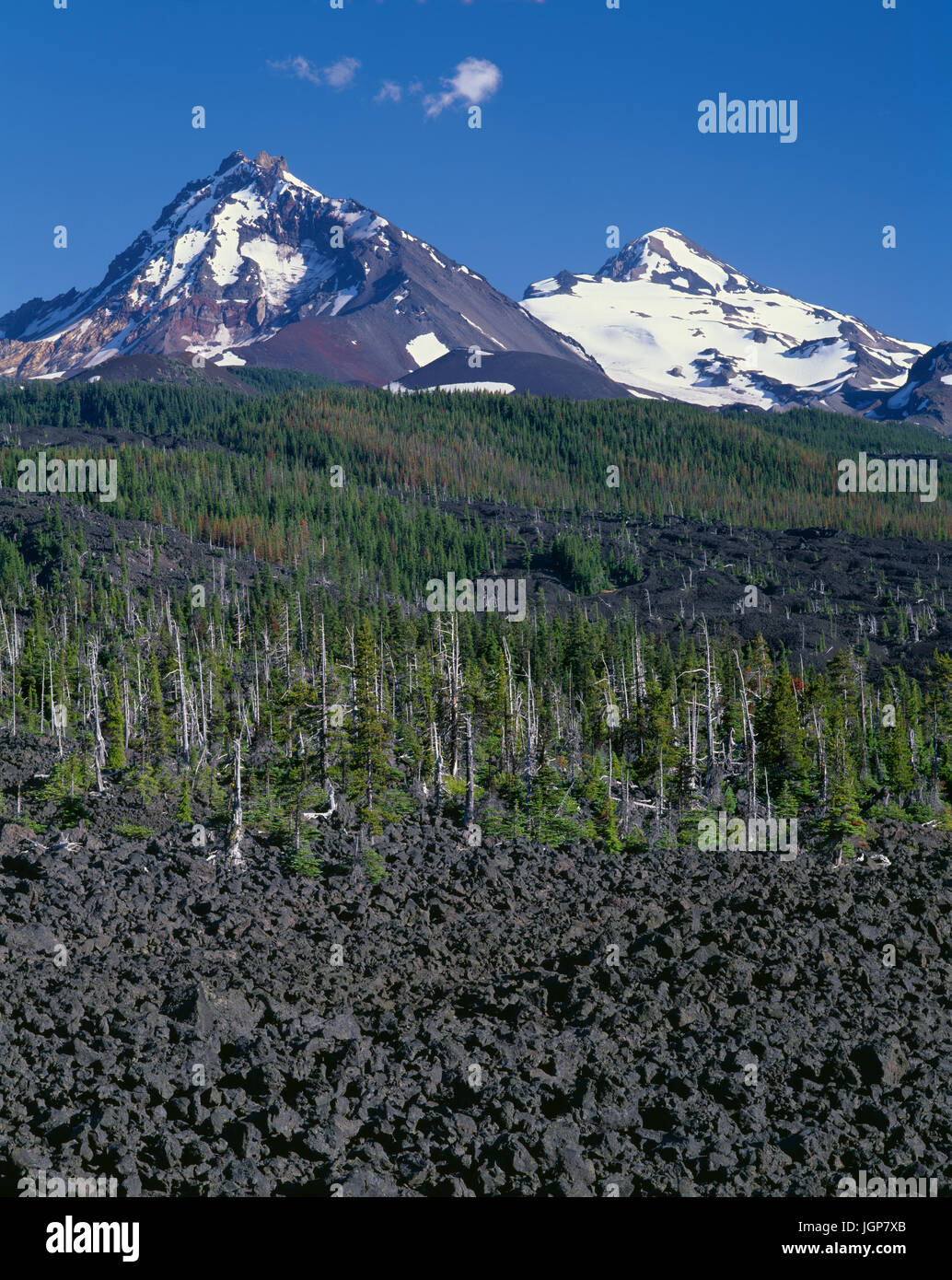 USA, Oregon, Three Sisters Wilderness, North (left) and Middle Sister (right) rise beyond conifers and lava flow near McKenzie Pass. Stock Photo