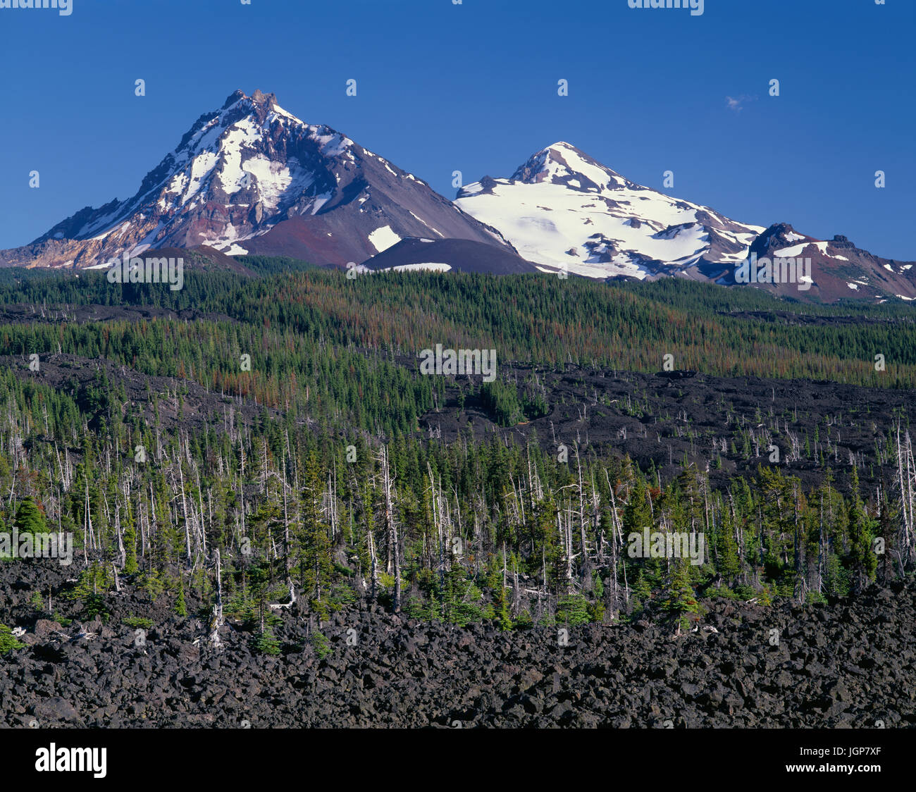 USA, Oregon, Three Sisters Wilderness, North (left) and Middle Sister (right) rise beyond conifers and lava flow near McKenzie Pass. Stock Photo