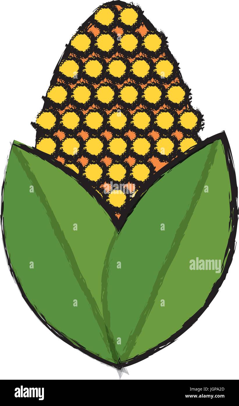 corn bioful alternative energy ethanol vector illustration Stock Vector