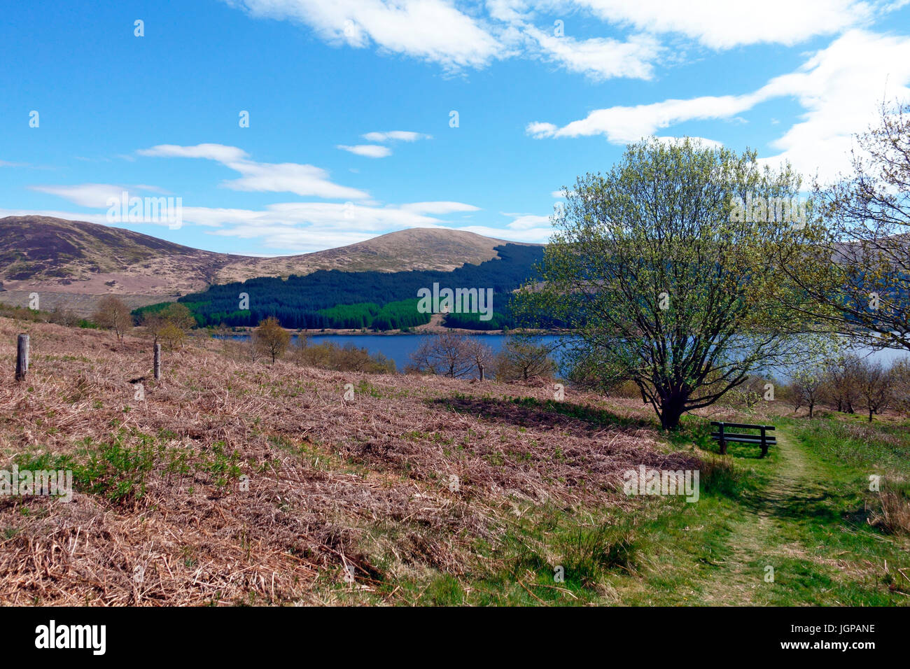Dalmellington Scotland High Resolution Stock Photography and Images Alamy