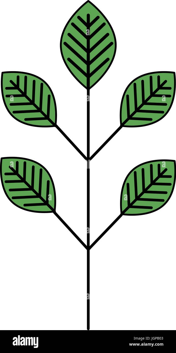 leafs plant ecology icon vector illustration design Stock Vector Image ...