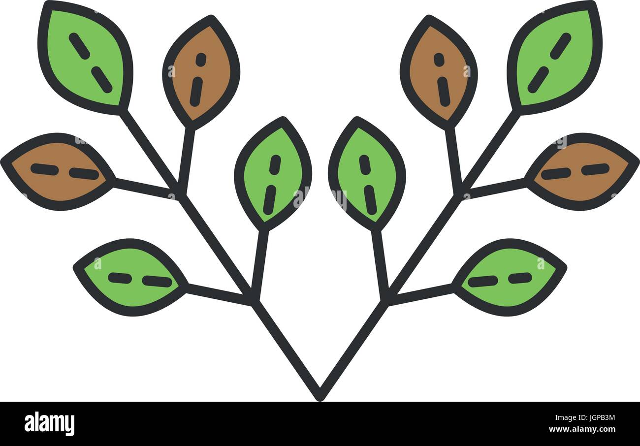 leafs plant ecology icon vector illustration design Stock Vector Image ...