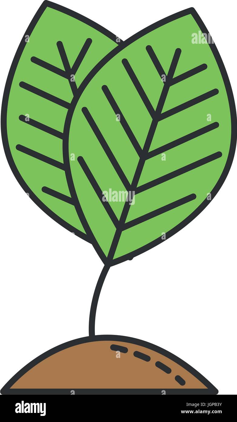 leafs plant ecology icon vector illustration design Stock Vector Image ...