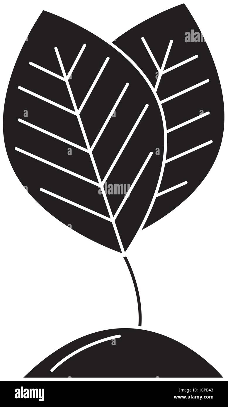 leafs plant ecology icon vector illustration design Stock Vector Image ...