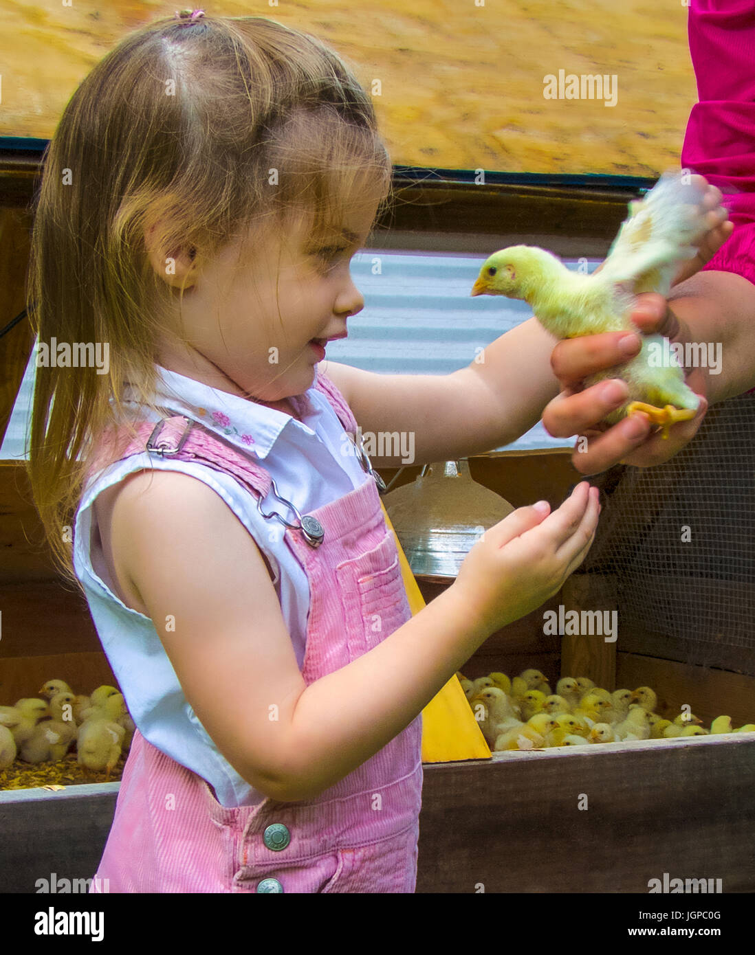 4 year old girl hires stock photography and images Alamy