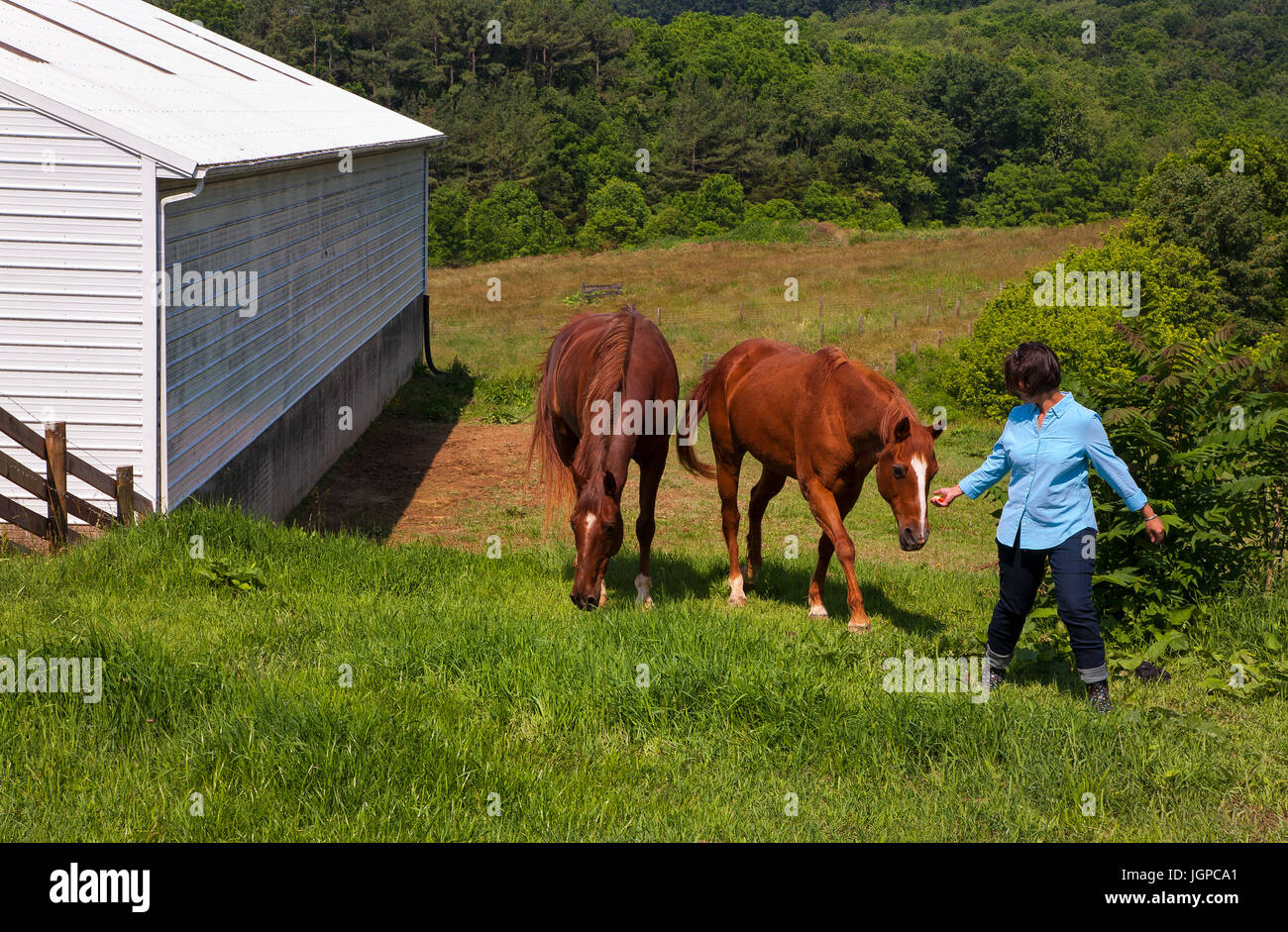 Woman walking up hill hi-res stock photography and images - Alamy