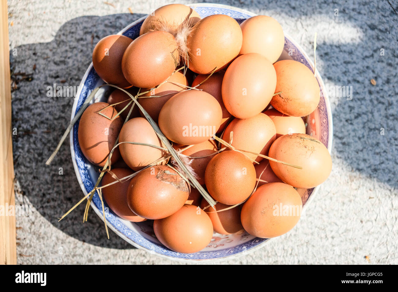 Extra large egg Stock Photo - Alamy