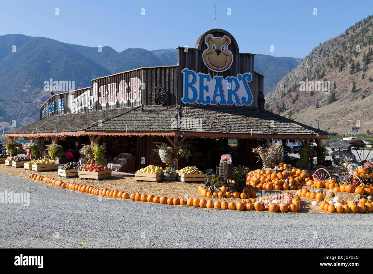 An arrangement of winter squash at Bears Fruit Stand located in