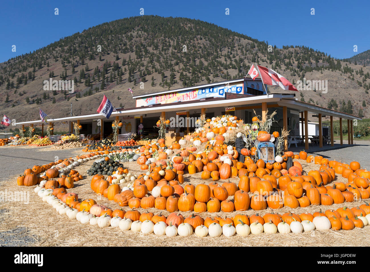 An arrangement of winter squash at The Peach King Fruit Stand located in Keremeos, British