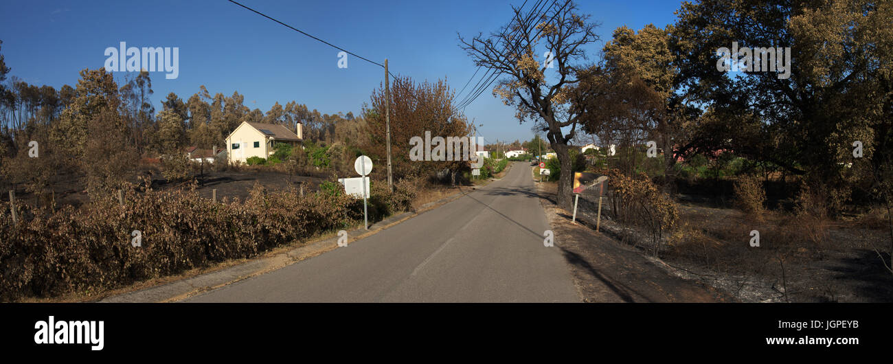 Road with burnt signs goes through burnt trees and crops caused by forest fires near houses at Lameira Cimeira and Mo Pequena villages. Pedrogao Grand Stock Photo