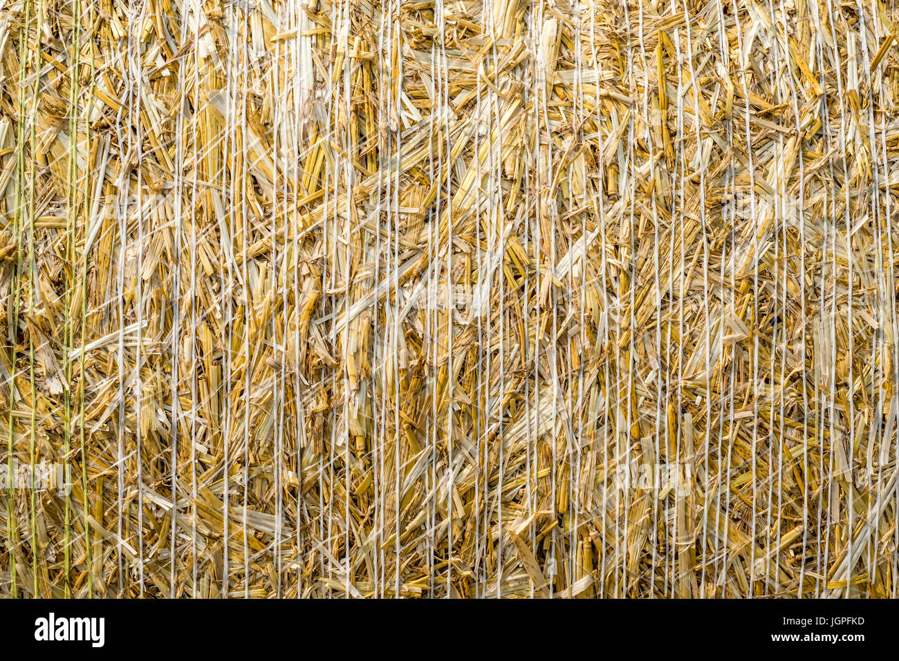 pattern closeup Natural texture of a straw bale of cereals wheat grain