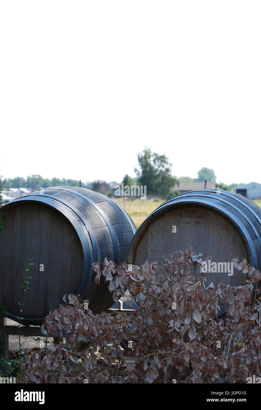 Maker of barrels hires stock photography and images Alamy