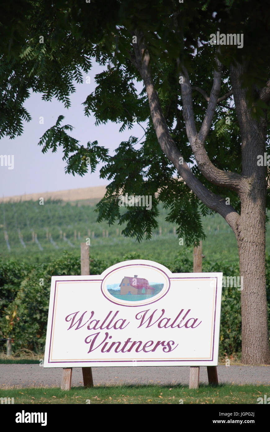 walla walla vintners winery and vineyard sign outdoors, Walla Walla, WA. USA Stock Photo