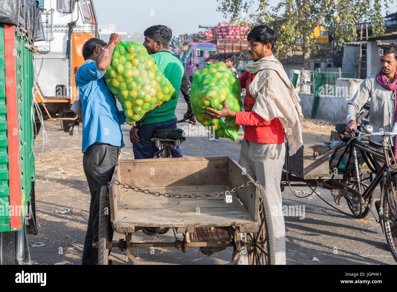Fruits being sold in a fruit market in New Delhi, India Stock Photo Alamy