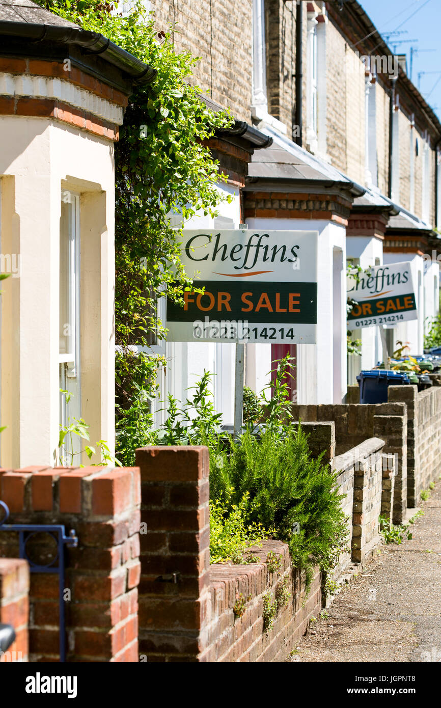 Terraced Houses for sale signs. Cambridge England UK Stock Photo Alamy