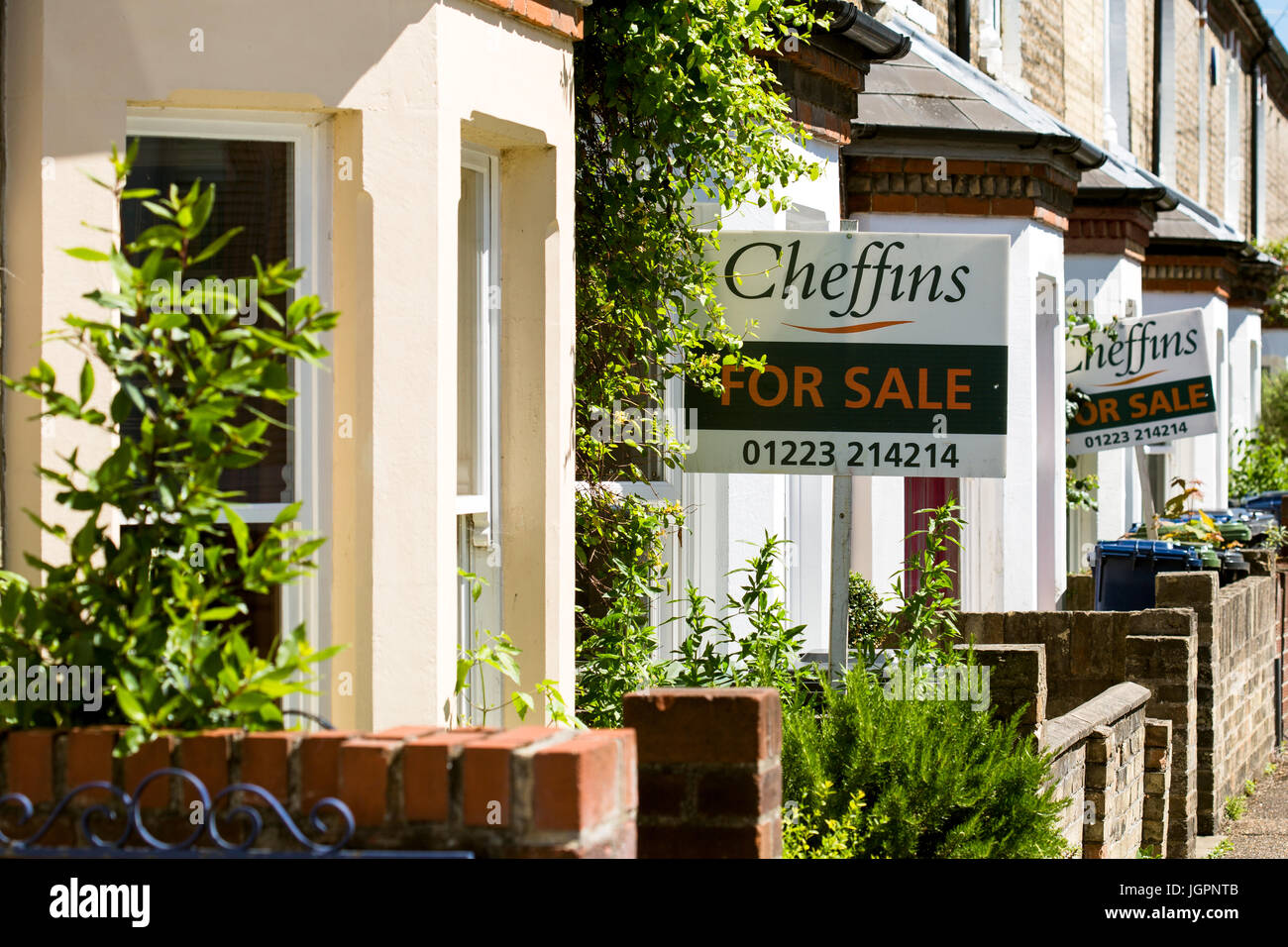 Terraced Houses for sale signs. Cambridge England UK Stock Photo Alamy